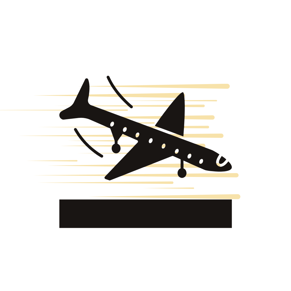 Illustration of a plane landing: LuxLimo airport transfer, Copenhagen Airport